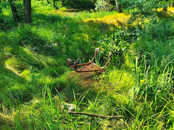 Как россияне экономят: лайфхаки, промокоды и кешбэк