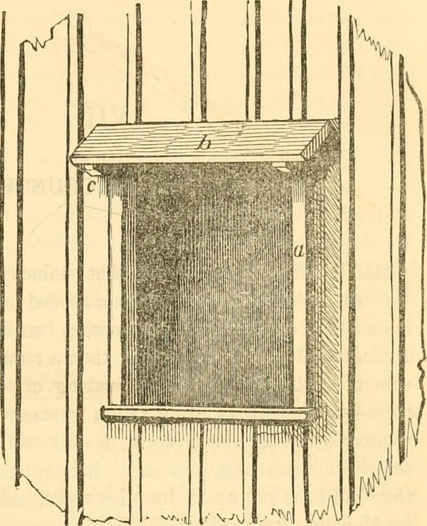 Русская баня в 2026 году: традиция, которая стала бизнесом